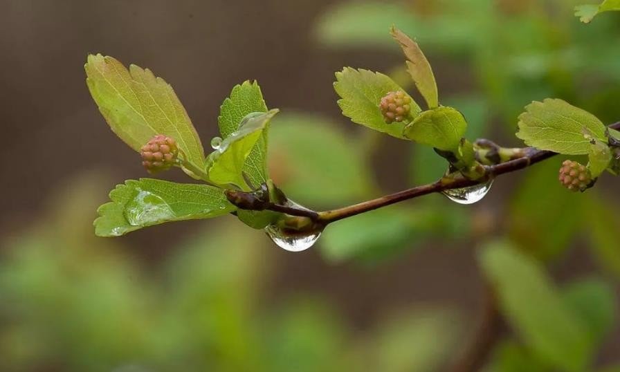 悲怆怎么读什么意思