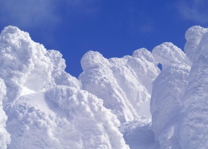 雪白的什么填空？