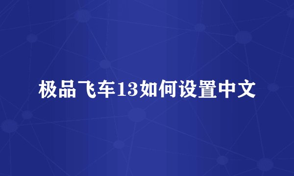极品飞车13如何设置中文