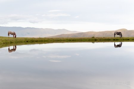 49图库怎么下载？