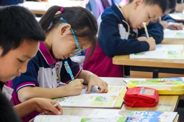 cat的英语怎么读