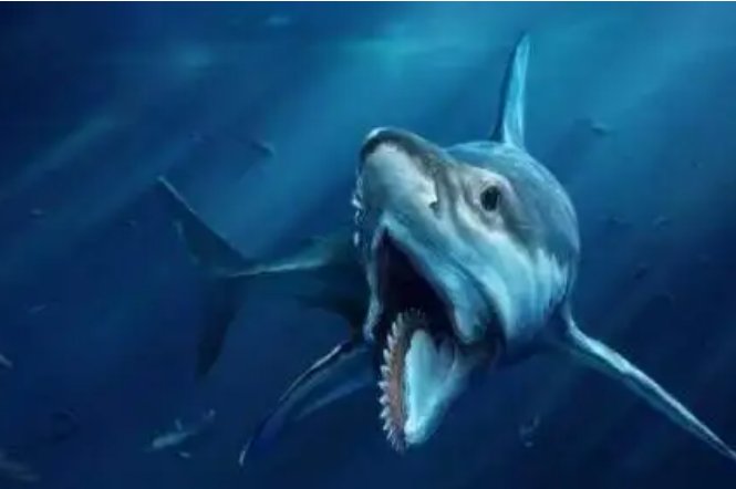 世界十大深海巨兽是哪十大？