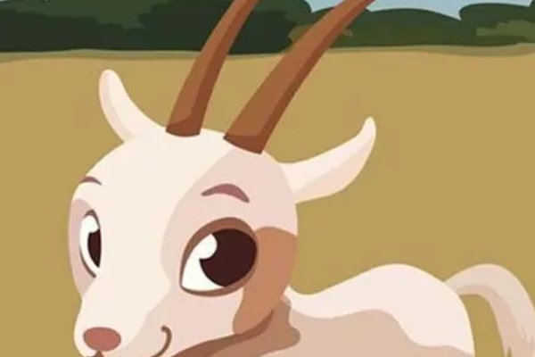 03年属羊的2023年虚岁多大