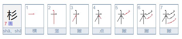 杉字怎么读