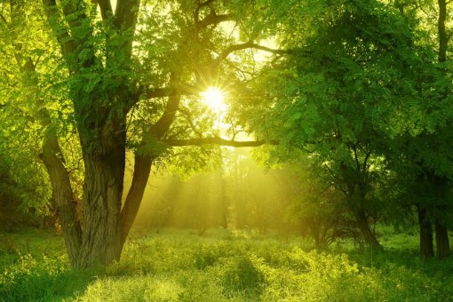 夕阳朝乾是什么意思？