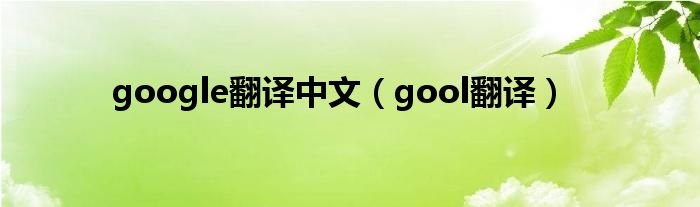 google翻译中文gool翻译