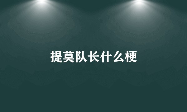 提莫队长什么梗