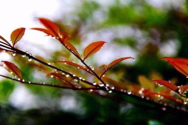 我是一个什么样的人写20句