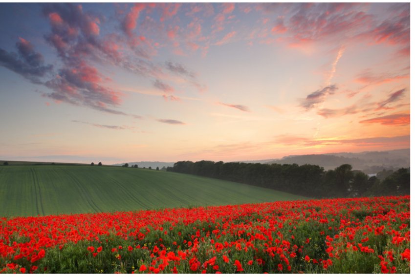 fake news是什么意思