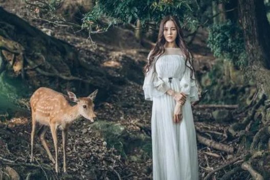 森系是什么意思