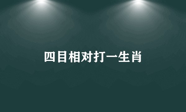 四目相对打一生肖