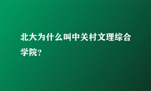 北大为什么叫中关村文理综合学院？