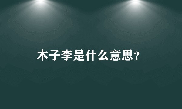木子李是什么意思？