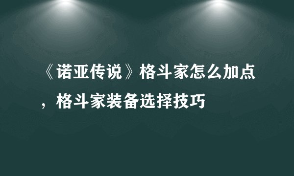 《诺亚传说》格斗家怎么加点，格斗家装备选择技巧
