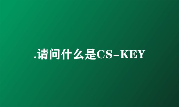 .请问什么是CS-KEY