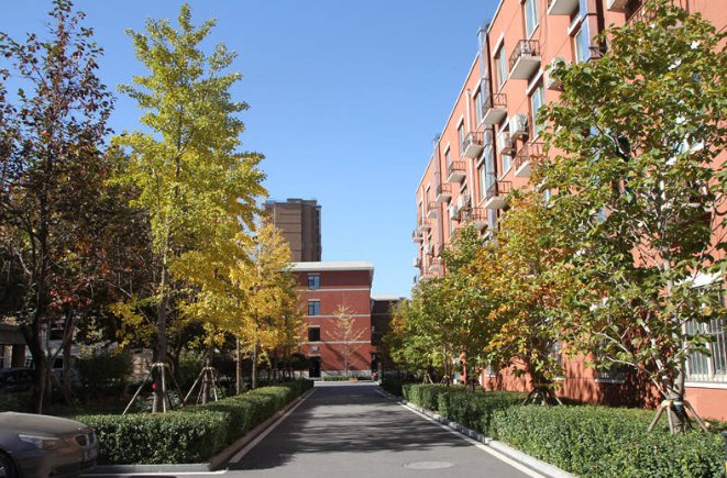 北京青鸟职业技术学校怎么样