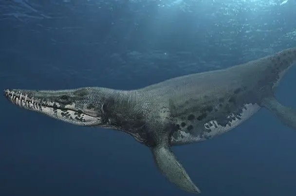 世界十大深海巨兽是哪十大？