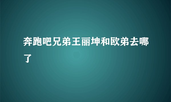 奔跑吧兄弟王丽坤和欧弟去哪了