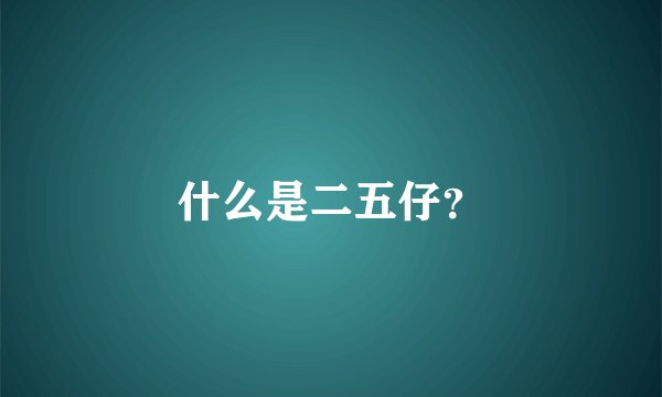什么是二五仔？