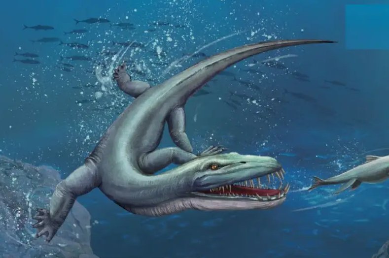 世界十大深海巨兽是哪十大？