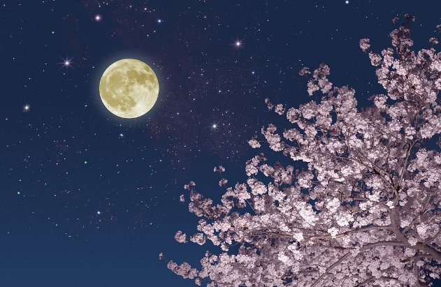 花未全开月未圆的意思是什么？