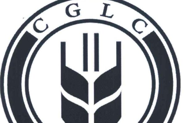 中国粮食四大粮商