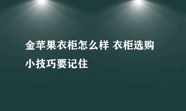 金苹果衣柜怎么样 衣柜选购小技巧要记住