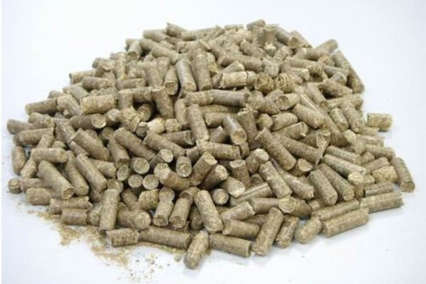 生物质燃料颗粒的市场价格多少钱一吨？