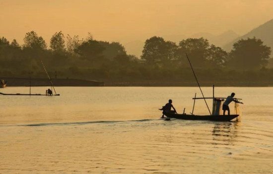 梦见鱼是什么意思有什么预兆 5种要发财的征兆