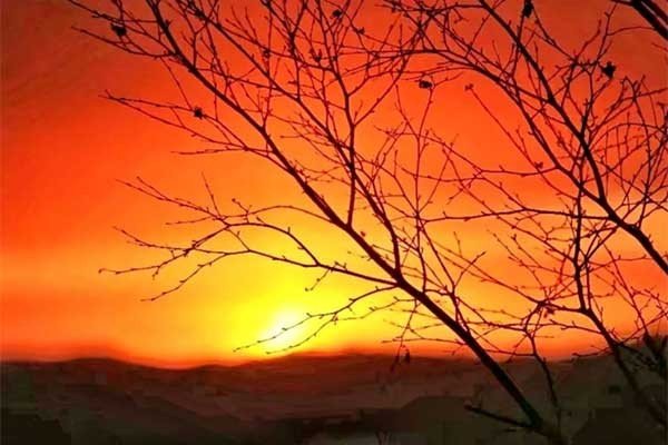 日复一日的意思