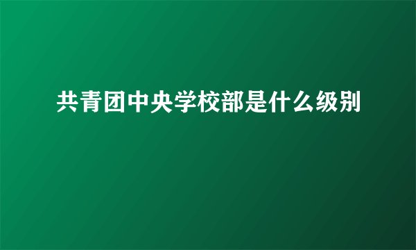 共青团中央学校部是什么级别