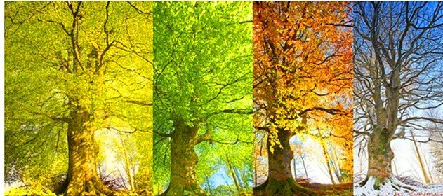 四季之美的原文是什么？