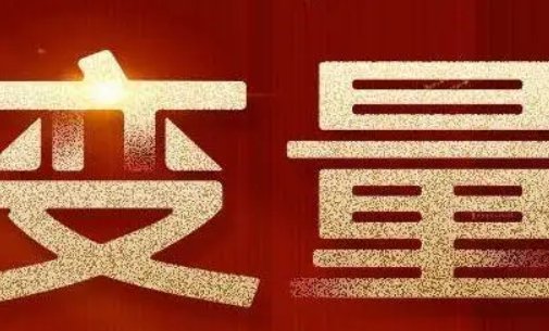 简述数值变量与数值变量的根本区别