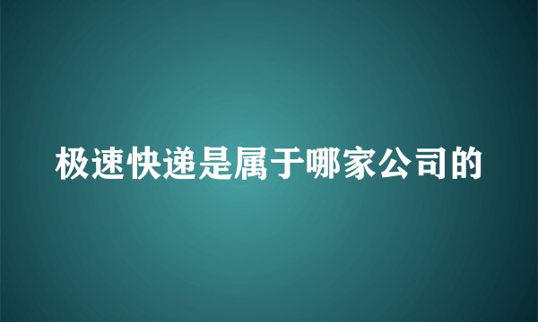 极速快递是属于哪家公司的