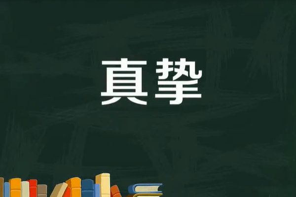 真挚是什么意思