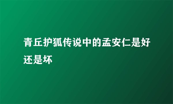青丘护狐传说中的孟安仁是好还是坏