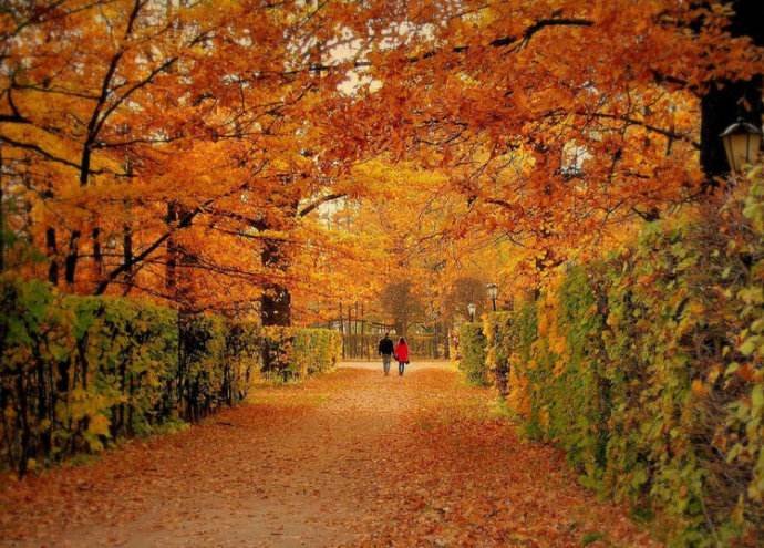 深秋指的是几月份