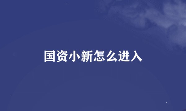 国资小新怎么进入