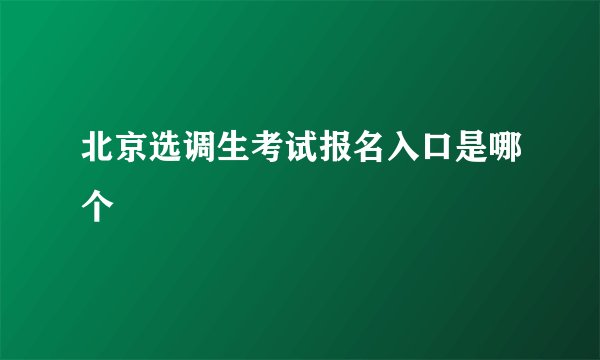 北京选调生考试报名入口是哪个