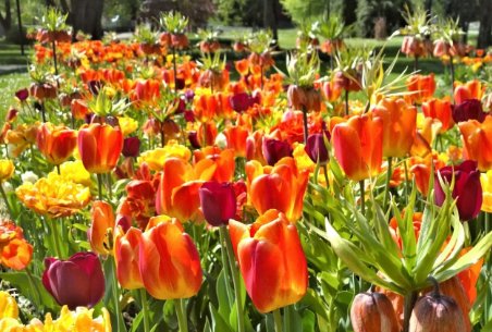 心旷神怡是什么意思？