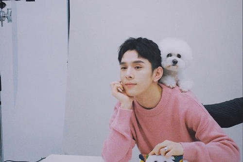 李佳琦成立人间唢呐咨询公司，明星网红成立公司的主要目的是什么？