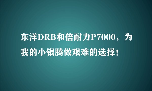 东洋DRB和倍耐力P7000，为我的小银腾做艰难的选择！