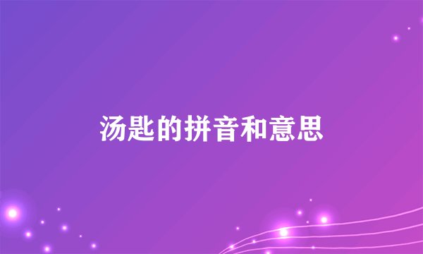 汤匙的拼音和意思