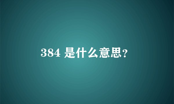 384 是什么意思？