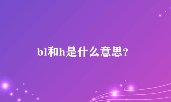 bl和h是什么意思？