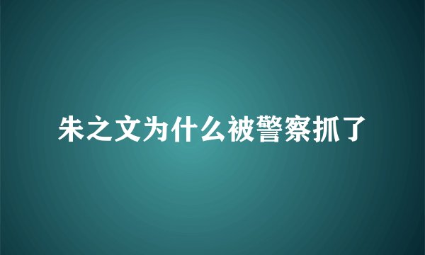 朱之文为什么被警察抓了