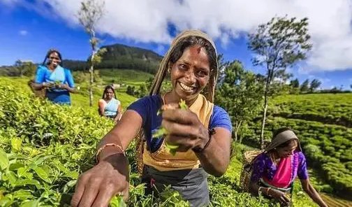 lk是哪个国家的缩写?