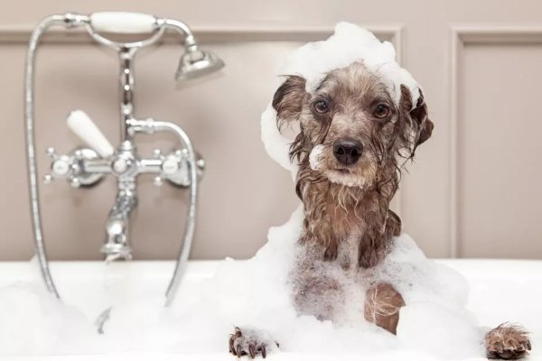 梦见洗澡是什么预兆周公解梦