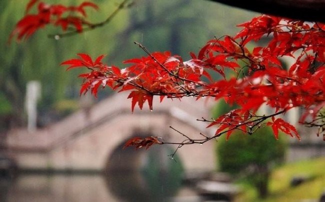 我是一个什么样的人写20句