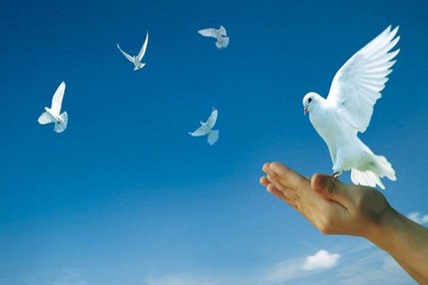 庆幸我们生活在和平年代的句子